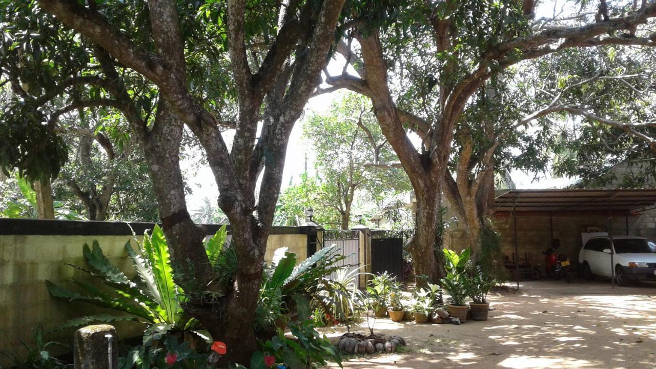 Water Front Home Stay And Resort Anuradhapura Kültér fotó